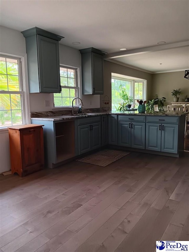 kitchen with light hardwood / wood-style flooring and gray cabinetry