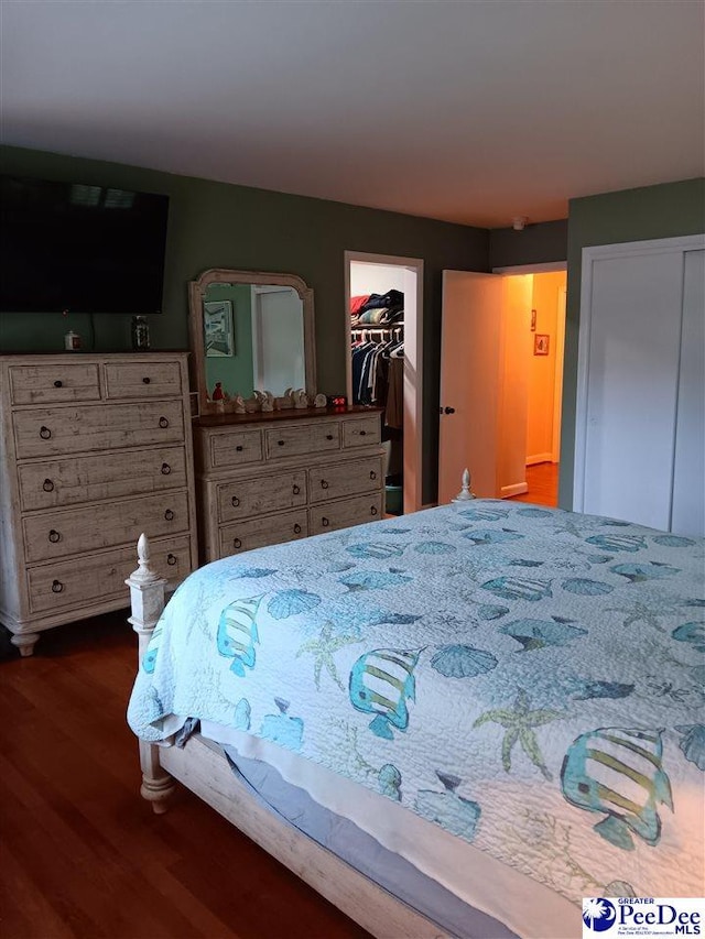 bedroom featuring a walk in closet and dark hardwood / wood-style flooring