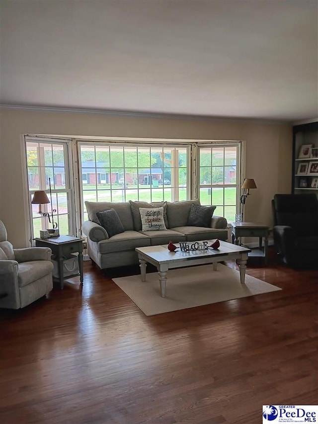 living room featuring dark hardwood / wood-style flooring