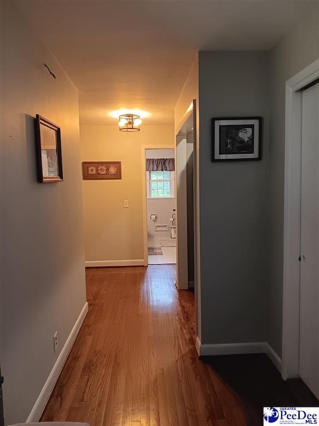 corridor featuring wood-type flooring