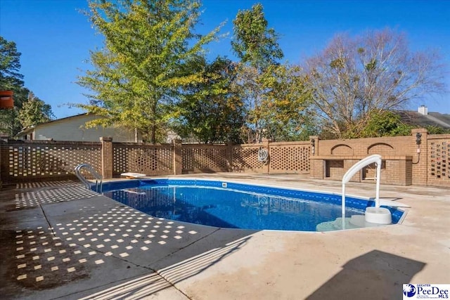 view of pool featuring a patio area and a diving board