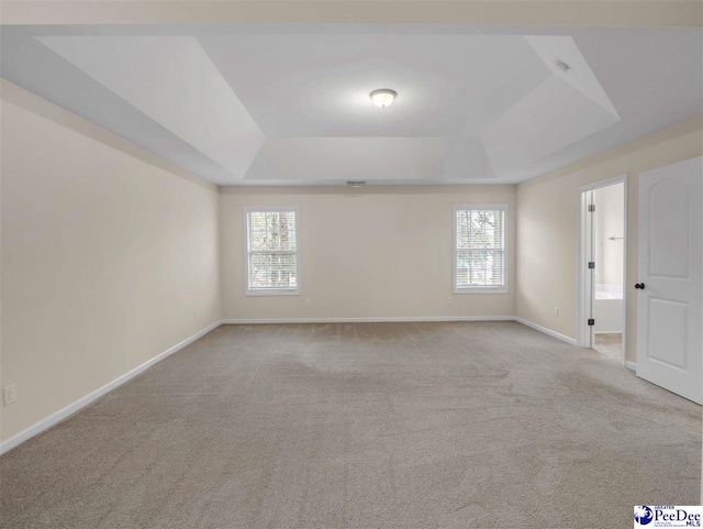 carpeted empty room featuring a tray ceiling and a healthy amount of sunlight