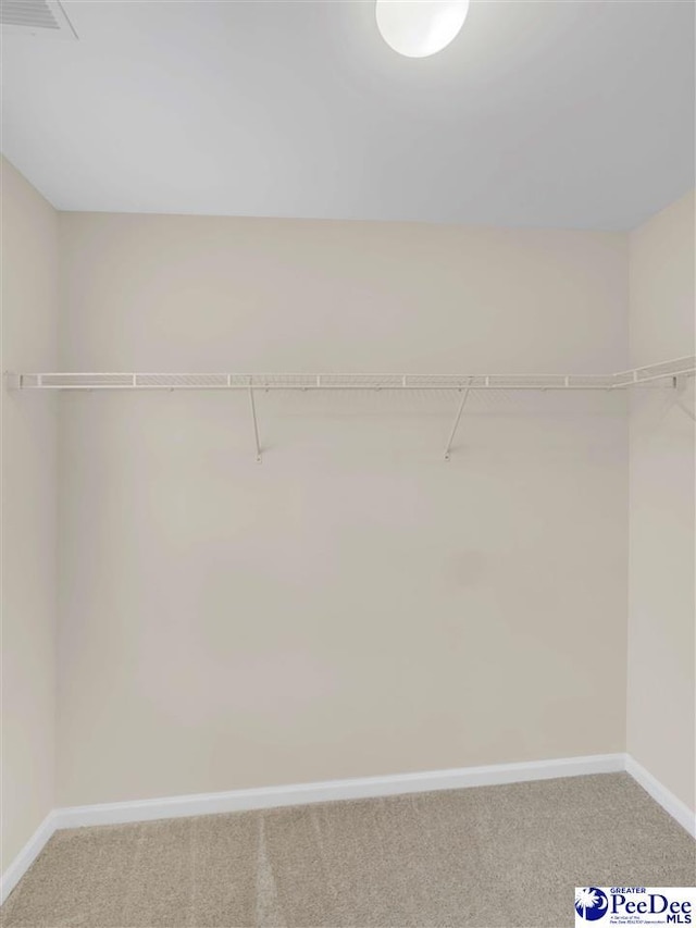 walk in closet featuring carpet flooring