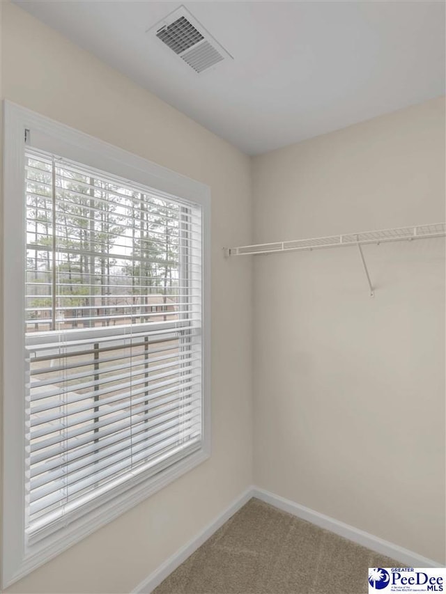 walk in closet featuring carpet floors