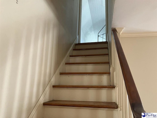 115 Carolina Ave, Lake City, SC 29560 - photo 17