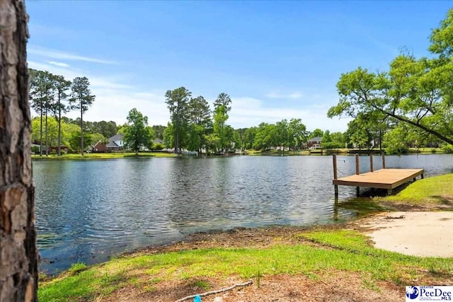 3250 Hampton Pointe Dr, Florence, SC 29501 - dock area with a water view
