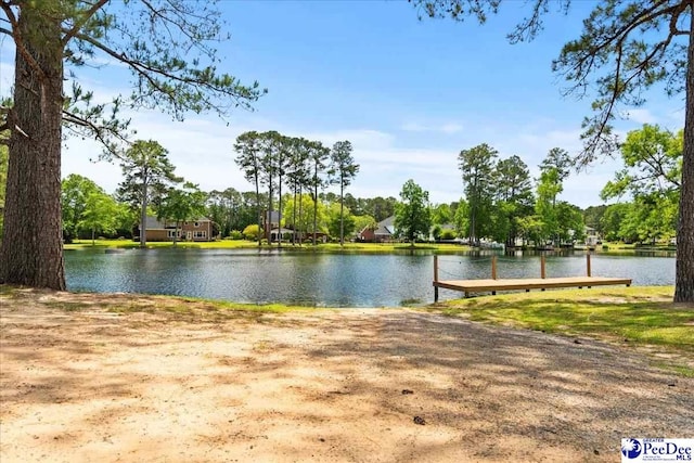 3250 Hampton Pointe Dr, Florence, SC 29501 - water view featuring a dock and a tree filled landscape