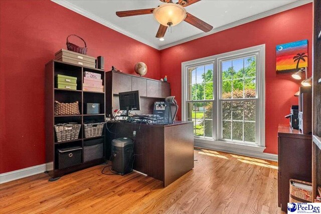 3250 Hampton Pointe Dr, Florence, SC 29501 - office area featuring ornamental molding, ceiling fan, wood finished floors, and baseboards
