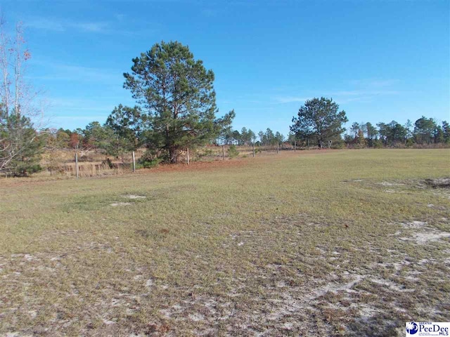 view of yard with a rural view