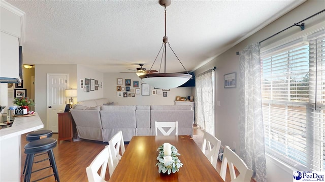 dining area featuring ceiling fan, a textured ceiling, and dark hardwood / wood-style flooring