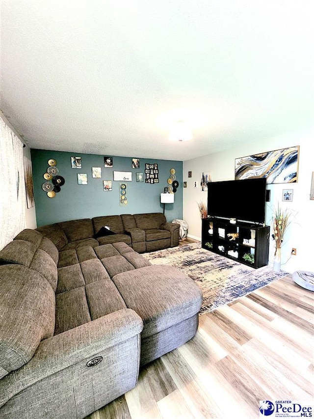 living room featuring hardwood / wood-style floors