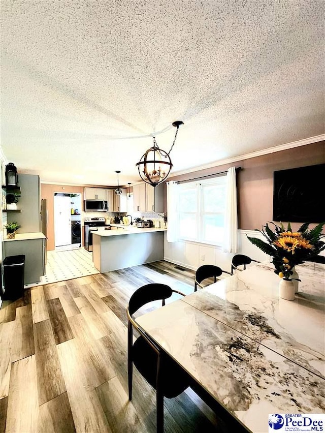 dining room featuring a notable chandelier, light hardwood / wood-style flooring, and a textured ceiling