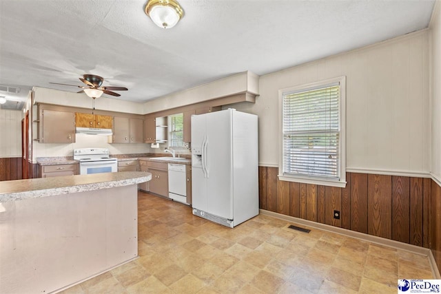 kitchen with wood walls, sink, white appliances, ceiling fan, and a textured ceiling