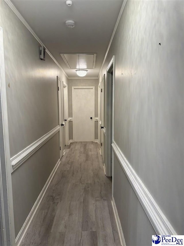 hallway with hardwood / wood-style flooring and ornamental molding