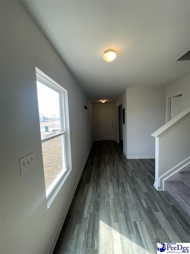 corridor with dark hardwood / wood-style floors