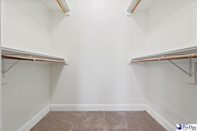 spacious closet with carpet flooring