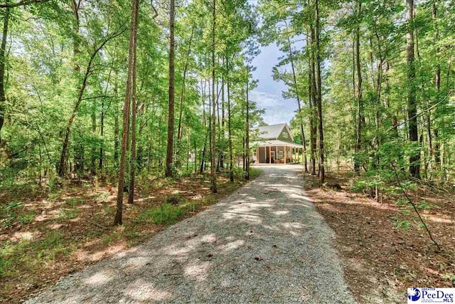 4560 Willow Creek Rd, Florence, SC 29505 - photo 3