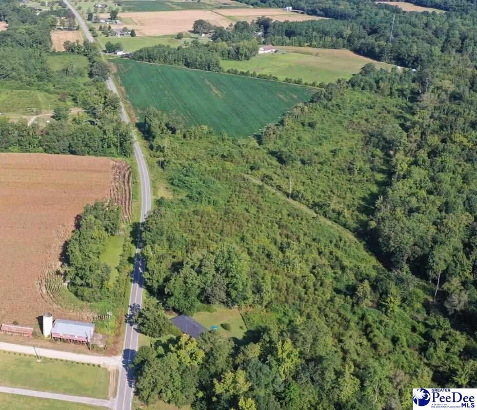 TRACT1 Borkowitz Rd, Scranton, SC 29591 - photo 2