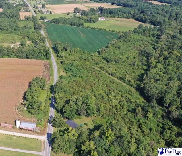 TRACT1 Borkowitz Rd, Scranton, SC 29591 - photo 2