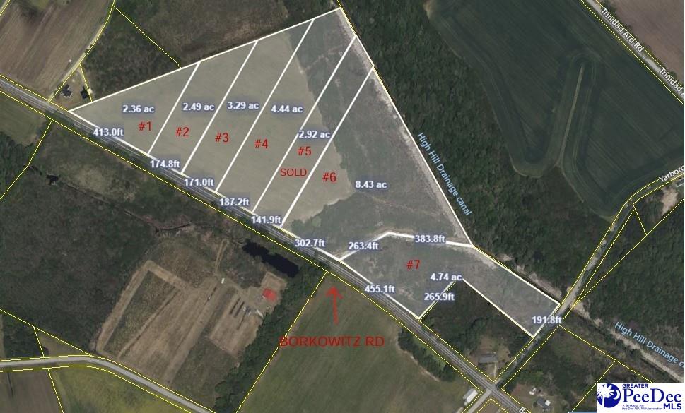 TRACT1 Borkowitz Rd, Scranton, SC 29591 - photo 1