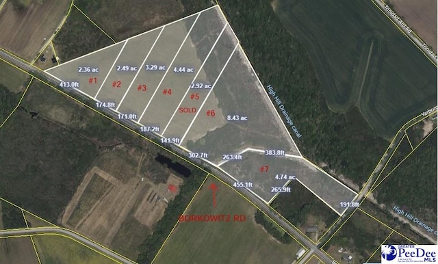 TRACT1 Borkowitz Rd, Scranton, SC 29591 - photo 1