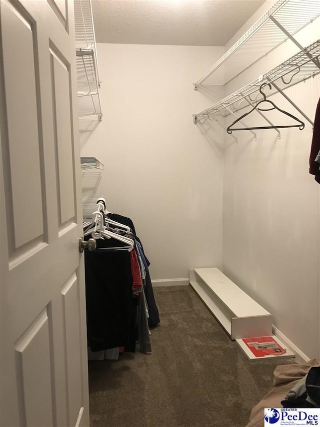1424 Golf Terrace Blvd, Florence, SC 29501 - spacious closet with dark carpet