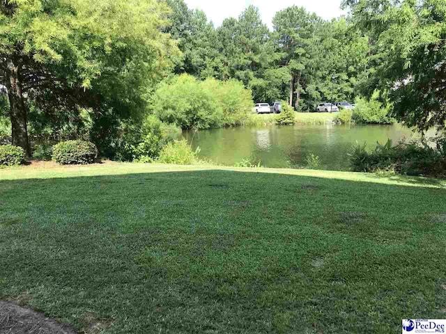 1424 Golf Terrace Blvd, Florence, SC 29501 - water view