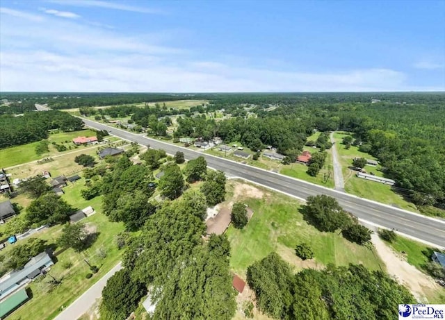 2304 S Point Rd, Effingham, SC 29541 - photo 28