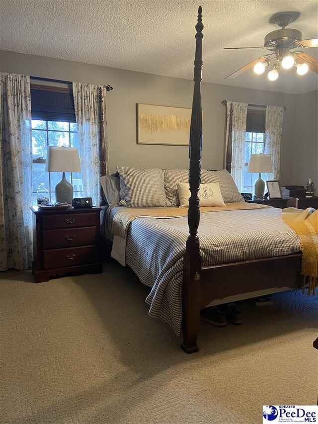 carpeted bedroom featuring multiple windows, ceiling fan, and a textured ceiling