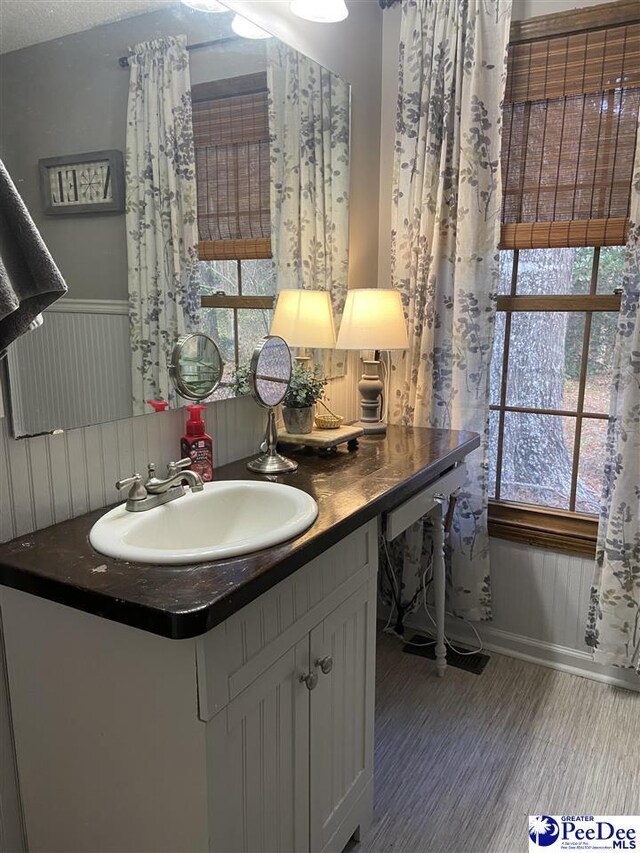 bathroom with vanity and hardwood / wood-style floors