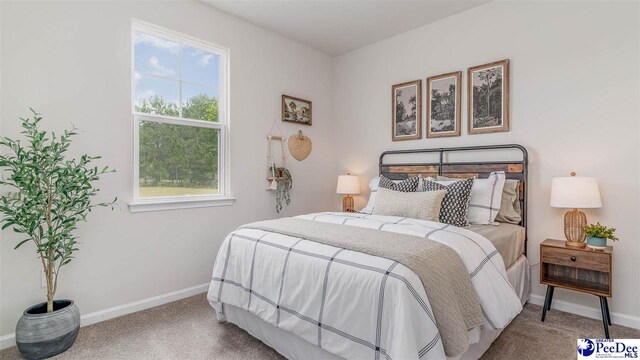 4930 Westpark Dr, Darlington, SC 29532 - photo 4