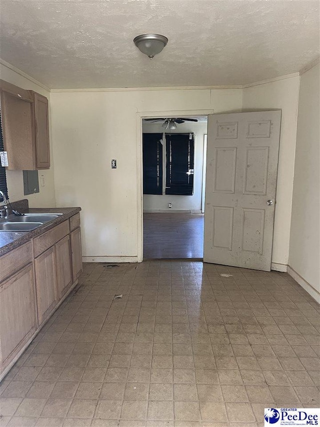 kitchen featuring ceiling fan, sink, and a textured ceiling