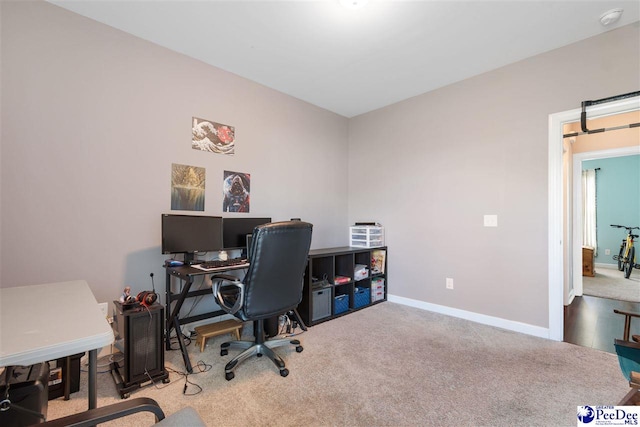 3026 Red Berry Cir, Effingham, SC 29541 - photo 29