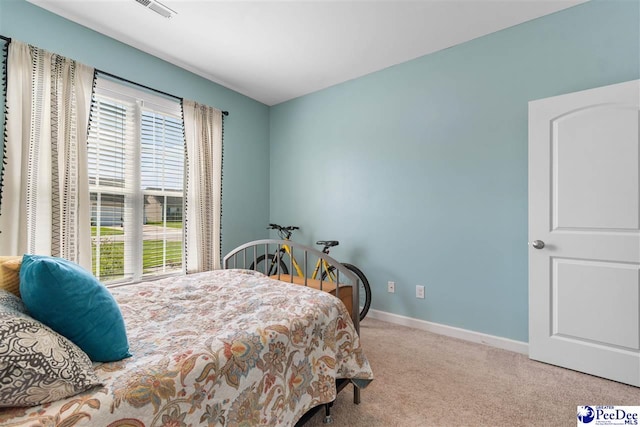3026 Red Berry Cir, Effingham, SC 29541 - photo 26