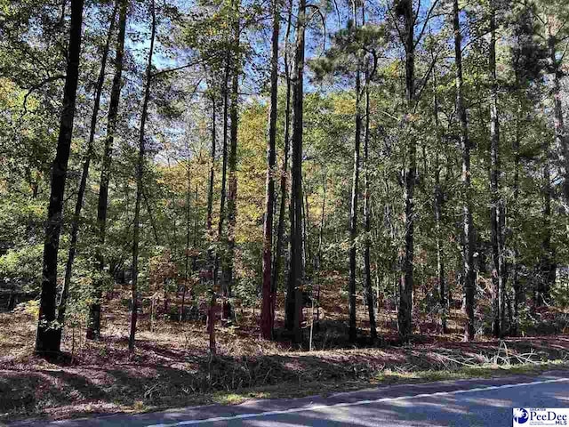 Listing photo 2 for TBD Irby Rd, Bennettsville SC 29512