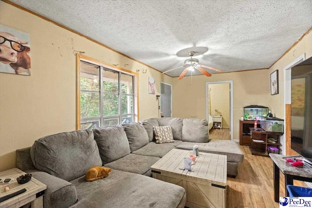 living room featuring ceiling fan, ornamental molding, light hardwood / wood-style floors, and a textured ceiling