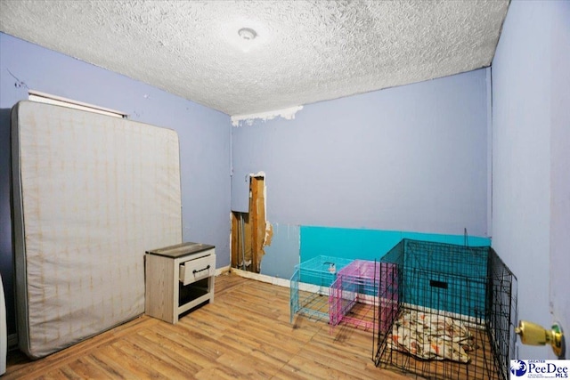 interior space with light hardwood / wood-style floors and a textured ceiling