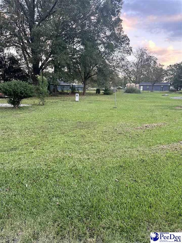 view of yard at dusk