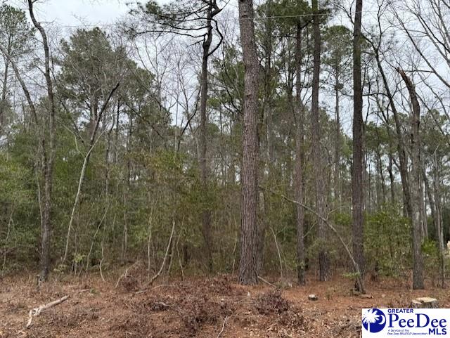 Tremont Cir S, Hartsville SC, 29550 land for sale