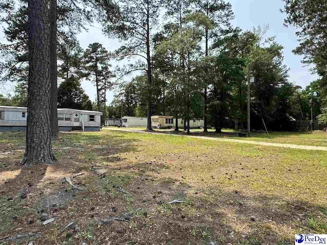 1515 Old Hamer Rd, Hamer, SC 29547 - view of yard