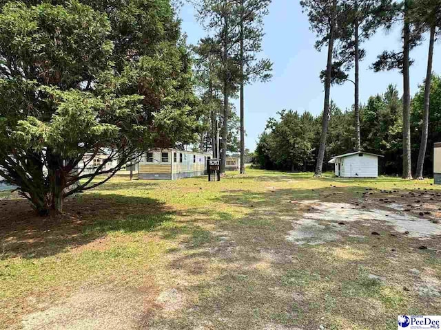 1515 Old Hamer Rd, Hamer, SC 29547 - view of yard