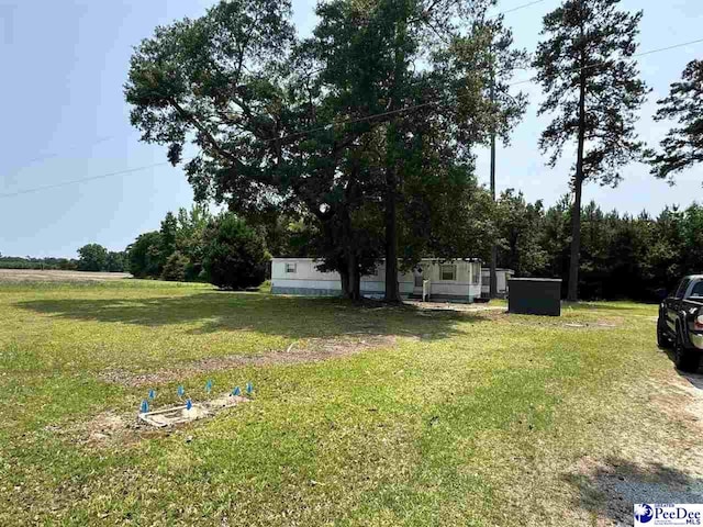 1515 Old Hamer Rd, Hamer, SC 29547 - view of yard