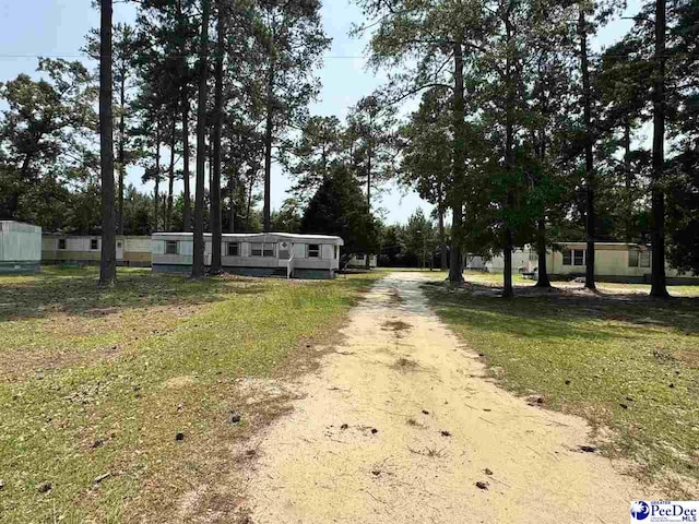 1515 Old Hamer Rd, Hamer, SC 29547 - view of dirt / gravel driveway