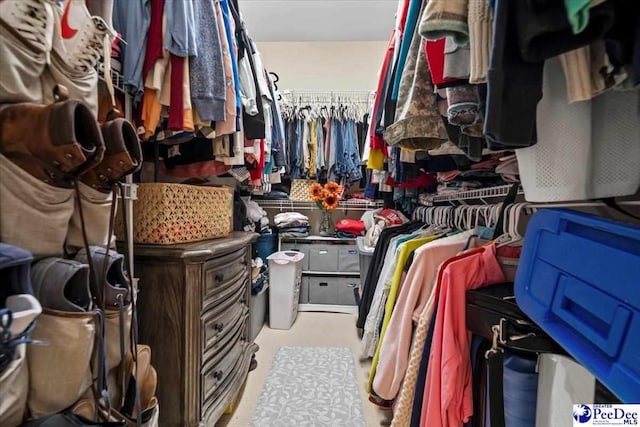 view of spacious closet