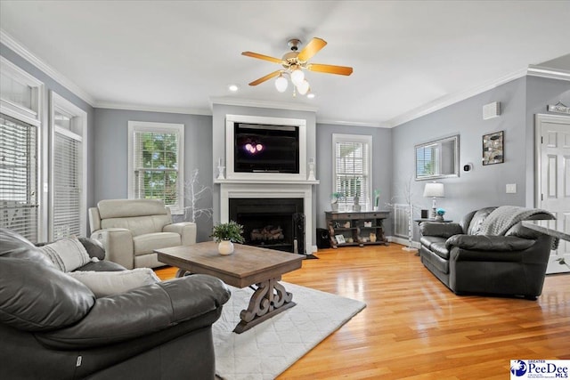 living room featuring hardwood / wood-style flooring, a wealth of natural light, ornamental molding, and ceiling fan