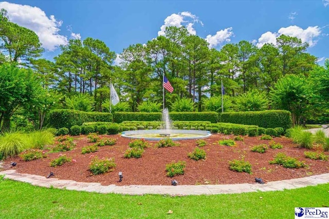 view of home's community