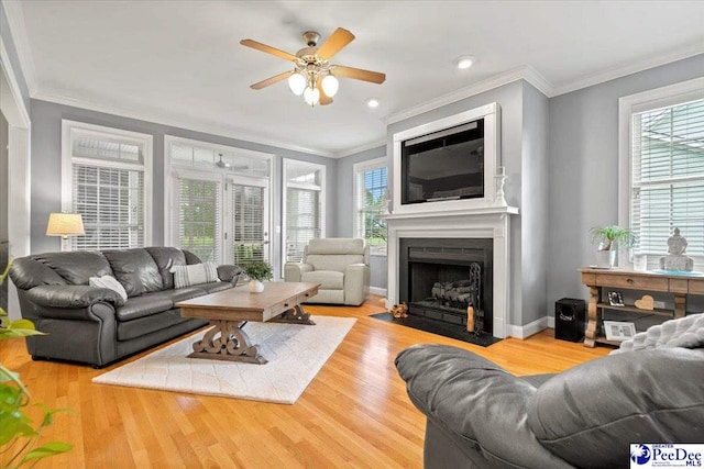 living room featuring crown molding, hardwood / wood-style flooring, and ceiling fan