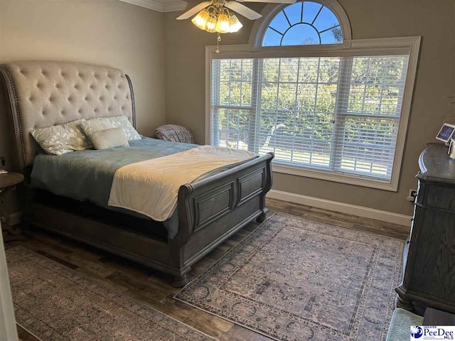 bedroom featuring multiple windows and dark wood-type flooring