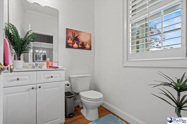 bathroom featuring vanity, wood-type flooring, and toilet