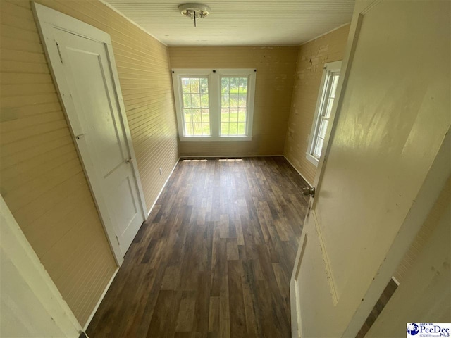 interior space featuring dark wood-type flooring and brick wall